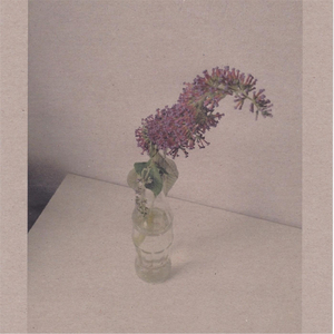 又大又粗又硬又黑又黄毛片
