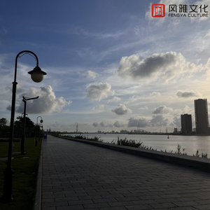 又大又粗又硬又黑又黄毛片
