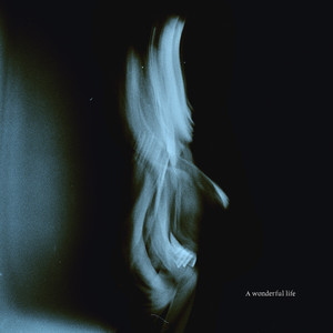 又大又粗又硬又黑又黄毛片
